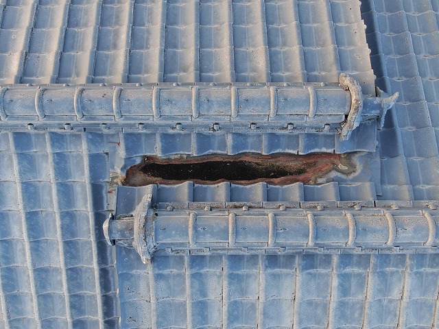 近づいてみると黒いものは穴ではなさそうです。